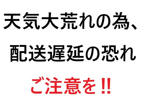 災害級の大荒れ天気